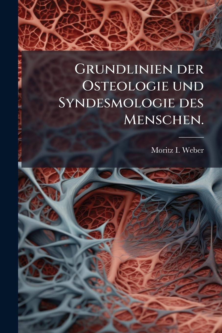 Grundlinien der Osteologie und Syndesmologie des Menschen. (German Edition)