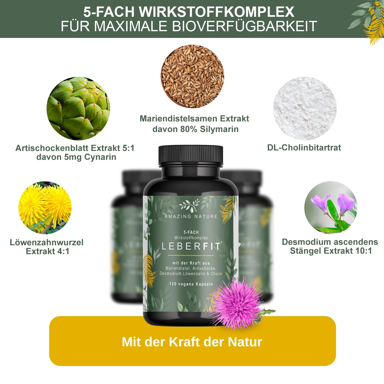 LeberFit Mariendistel Kapseln Hochdosiert 5-Fach Komplex mit Cholin | 80% Silymarin, Cholin & 4 Pflanzenextrakte nur 1 Kapsel täglich, bis zu 4 Monate Vorrat