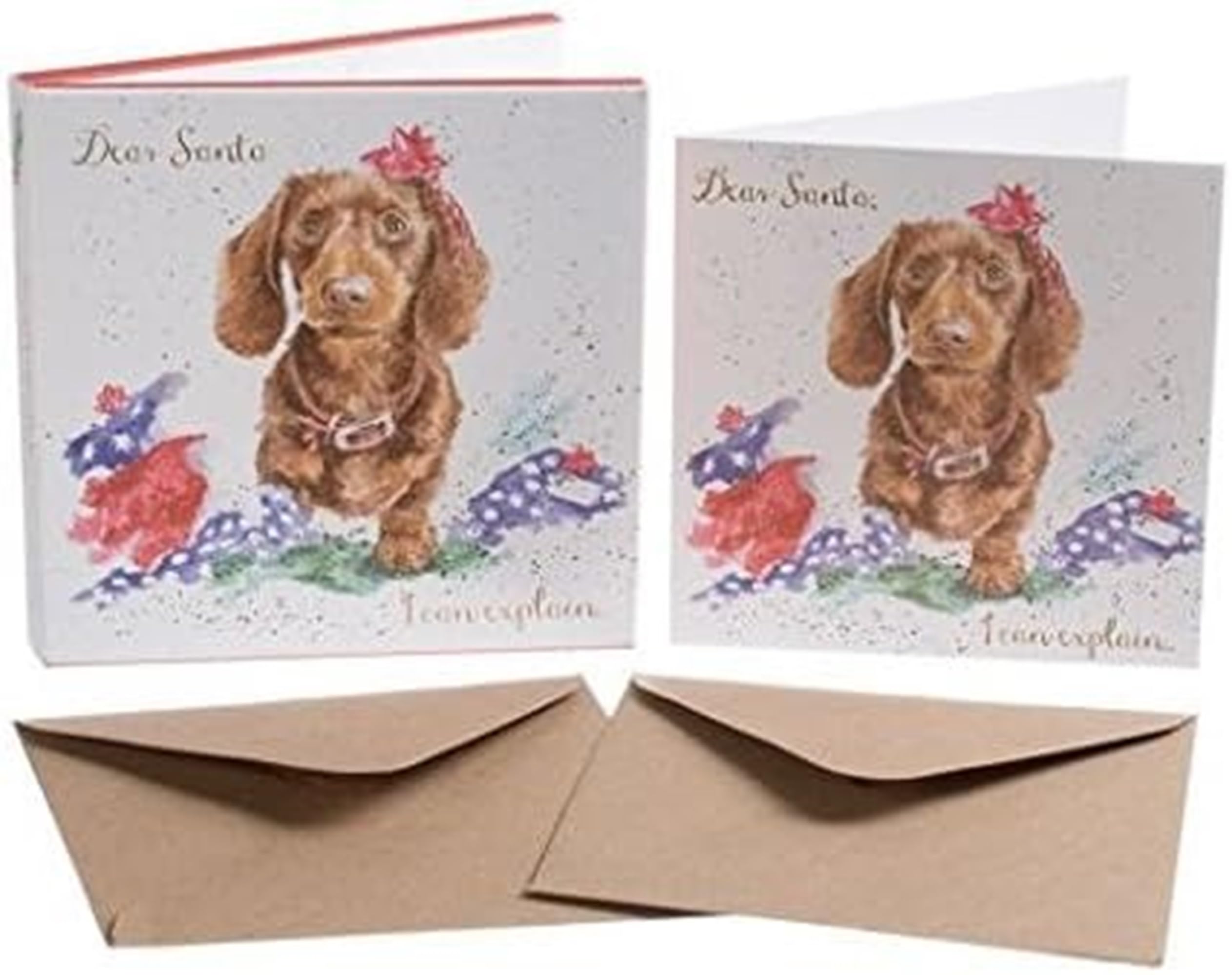 Wrendale Designs by Hannah Dale - I Can Explain - Christmas Card Box Set - Pack of 8 — image 1