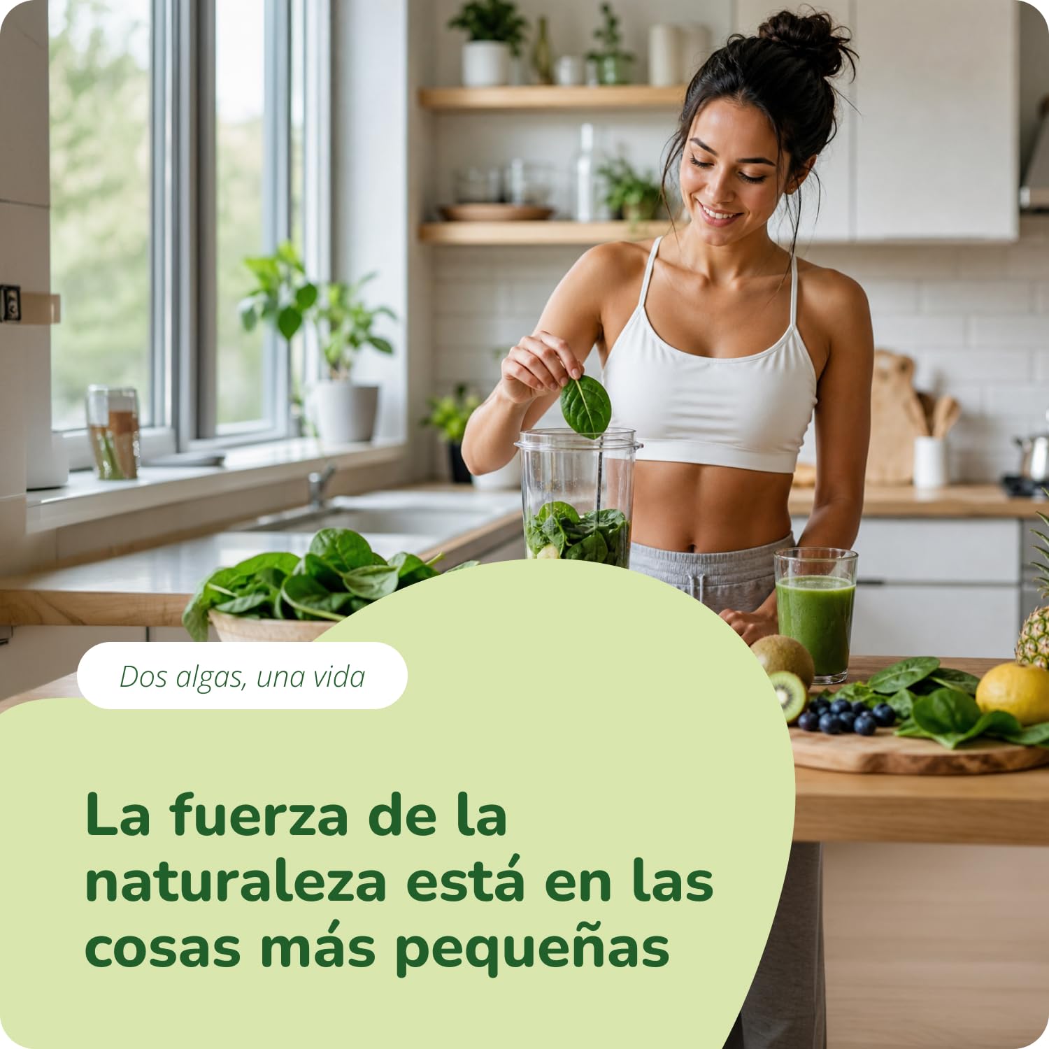 Espirulina y Chlorella BIO Vegavero | 2000 mg Dosis Diaria | 240 Cápsulas | Testado en Laboratorio | Algas Marinas | Superfood rica en Clorofila | Cansancio + Energía | Ecológica