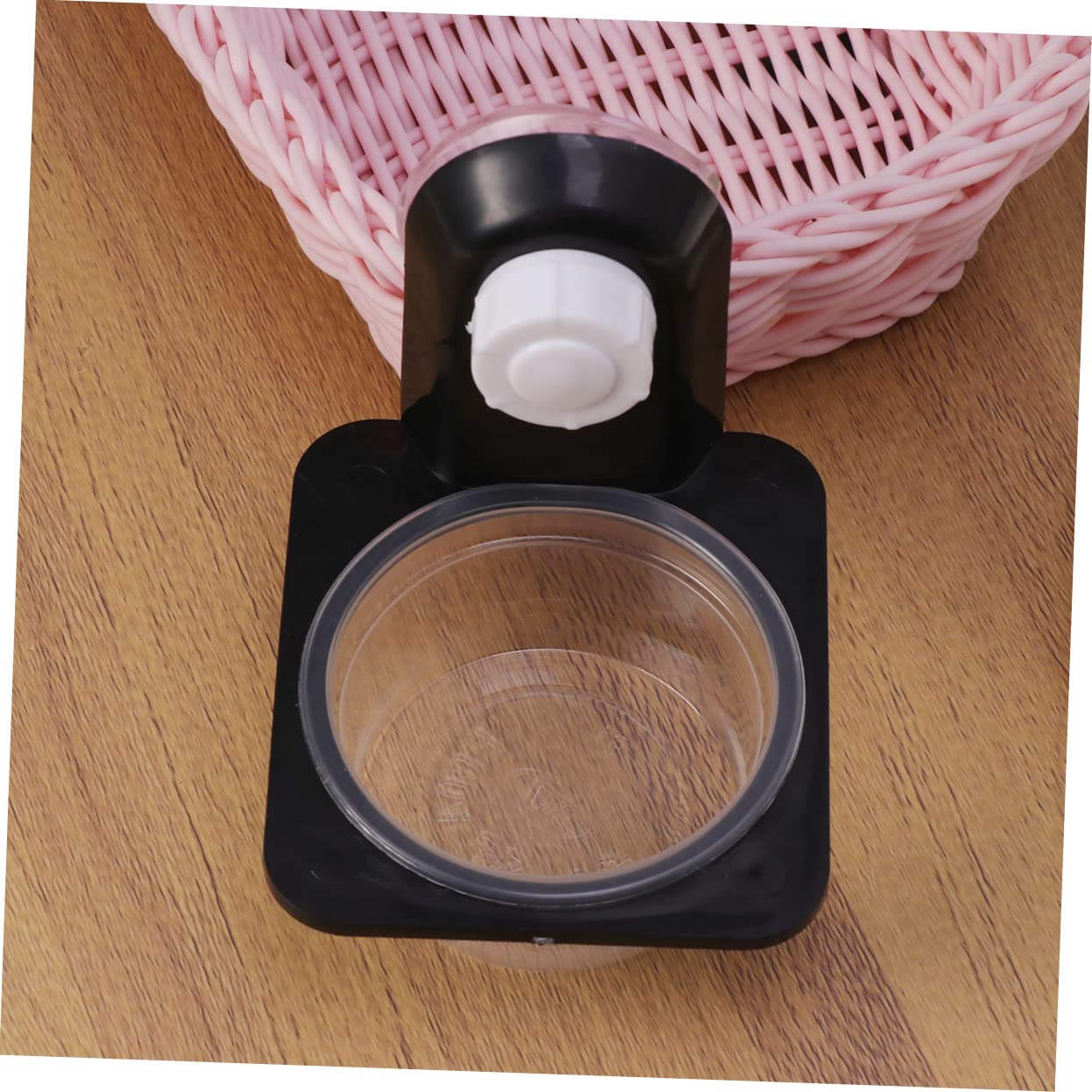 Garneck 1pc Reptile Bowl Lizards Water Reptile Food Bowl Geckos Reptile Accessories Feed Gecko Food Pet Drinking Crested Gecko Diet Gecko Bowl Lizard Bowl Leopard Gecko Accessories Black