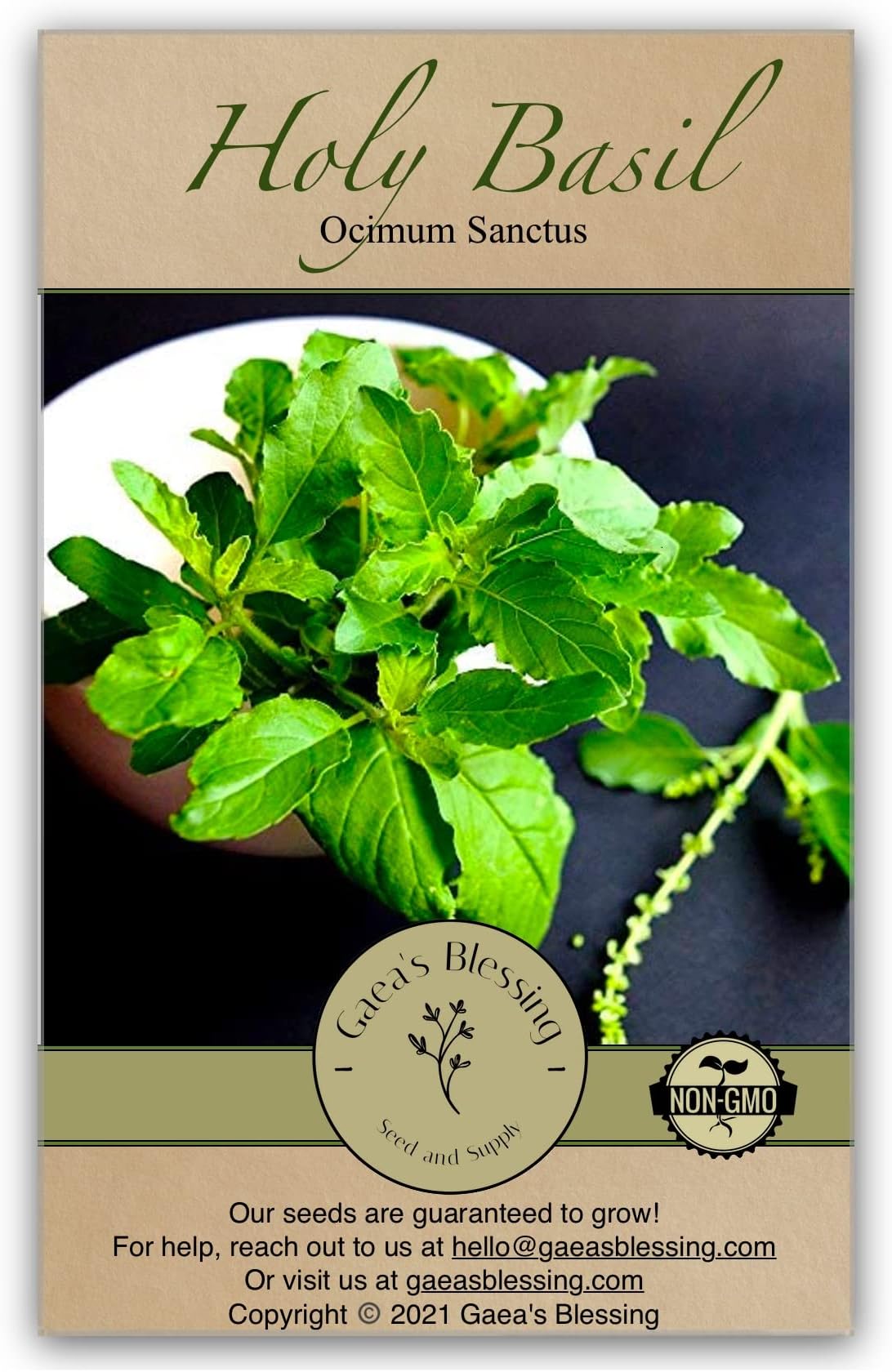 Seeds - Holy Basil Seeds - Heirloom Seeds with Easy to Follow Planting Instructions - Sacred Tulsi Open-Pollinated High Yield Non-GMO 90% Germination Rate