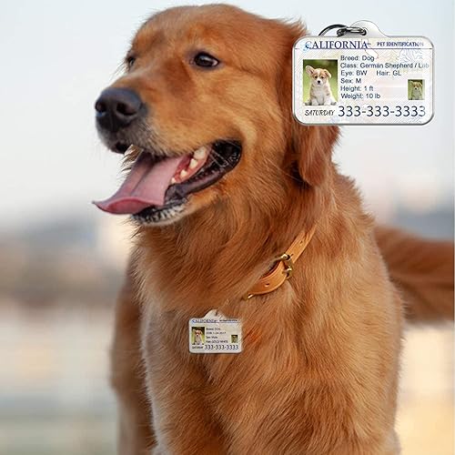 Miniatura 5 de Etiqueta de licencia para perro, etiquetas de identificación de licencia de conducir de mascotas, etiquetas de nombre de perro, etiquetas
