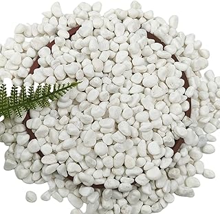 15LB White Gravel for Succulents and Cactus, 0.6 Inch Natural Unpolished...
