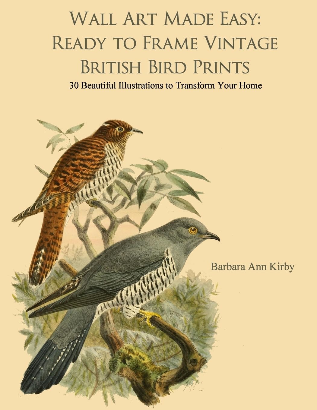 Wall Art Made Easy: Ready to Frame Vintage British Bird Prints: 30 Beautiful Illustrations to Transform Your Home: 1 (British Birds)