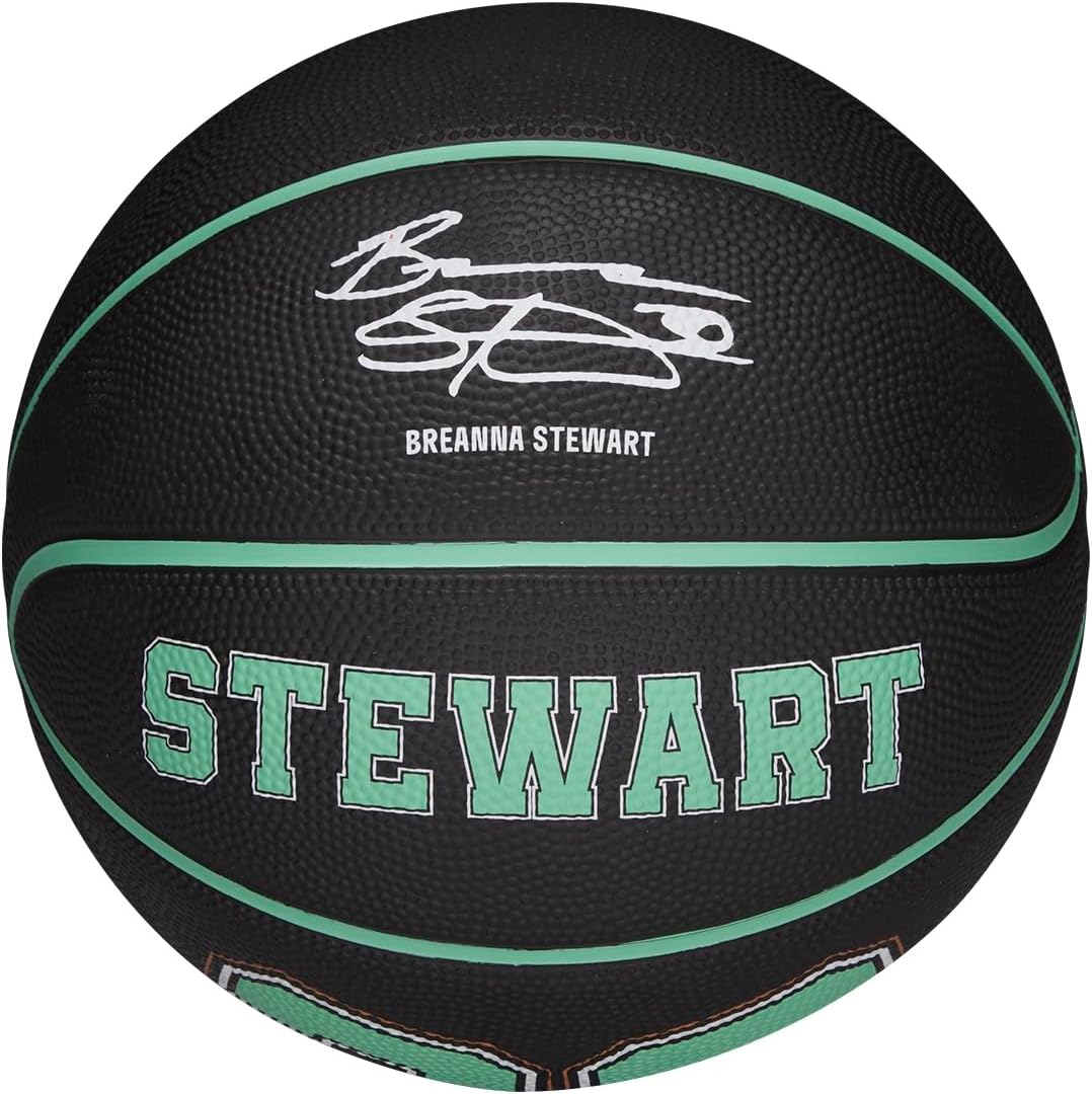Wilson WNBA Player Icon Mini Basketballs