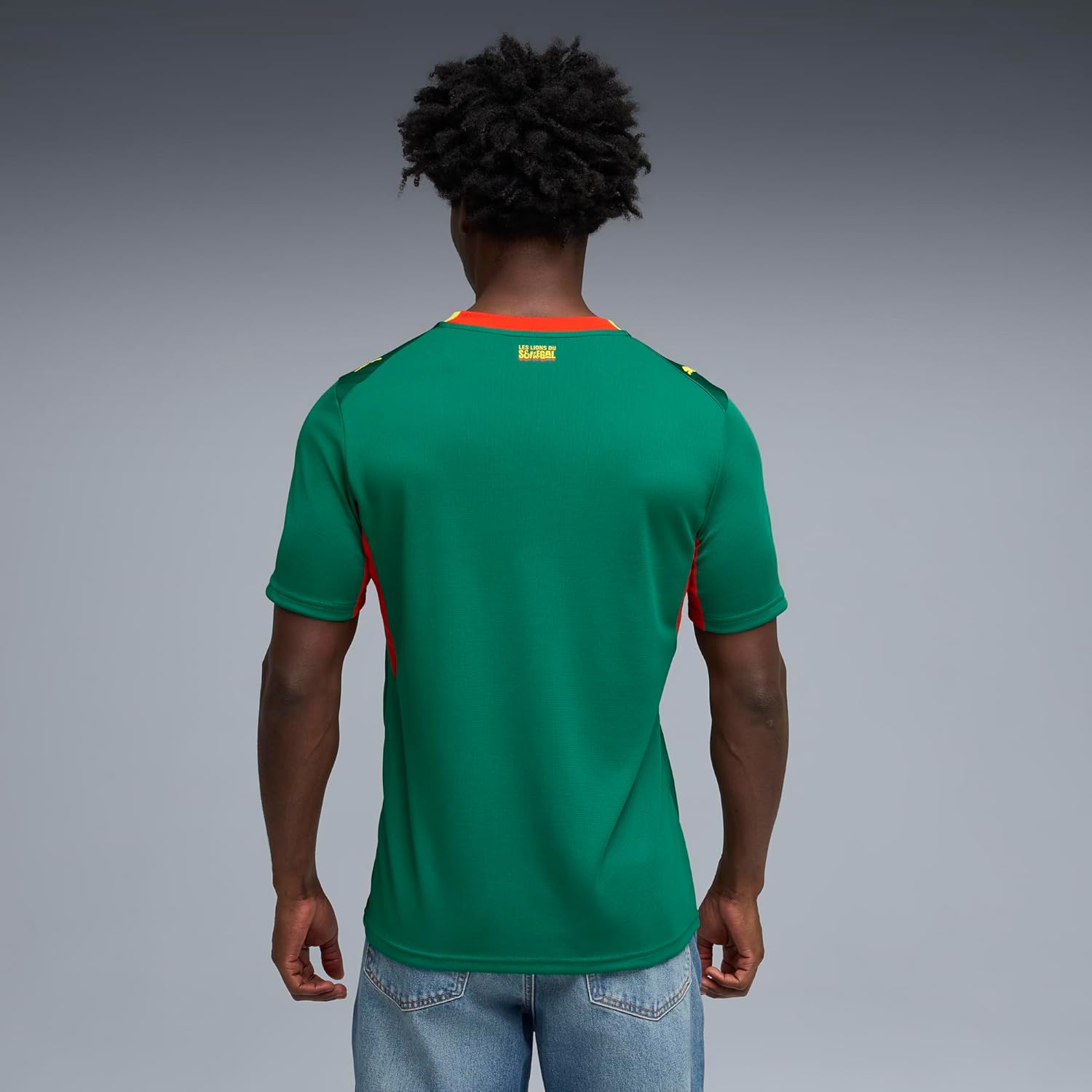 Puma Men's Senegal FA Away Jersey Replica