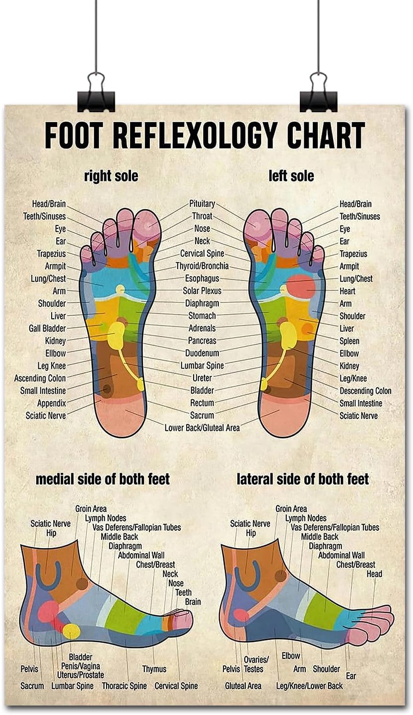 FLFGIDD Wall Art Foot Reflexology Chart Poster Massage Therapist Knowledge For Kitchen Home Decor 16x24 inch