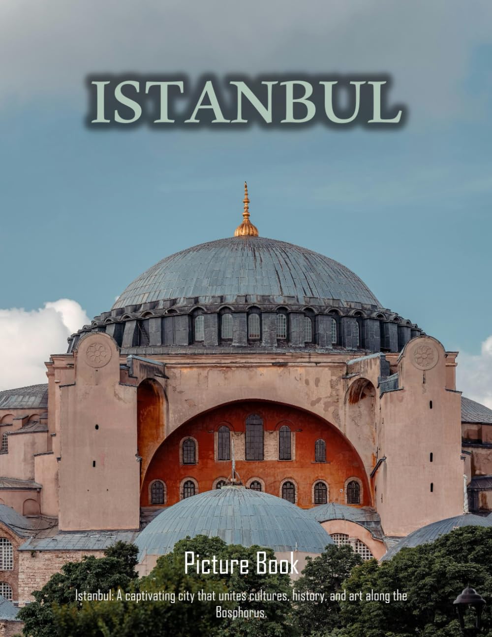 Picture Book of Istanbul: A Visual Journey