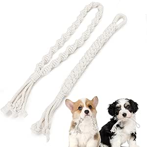 Amazon.com : AmaCielo Dog Rope Toys for Small Aggressive Chewers, Tough ...