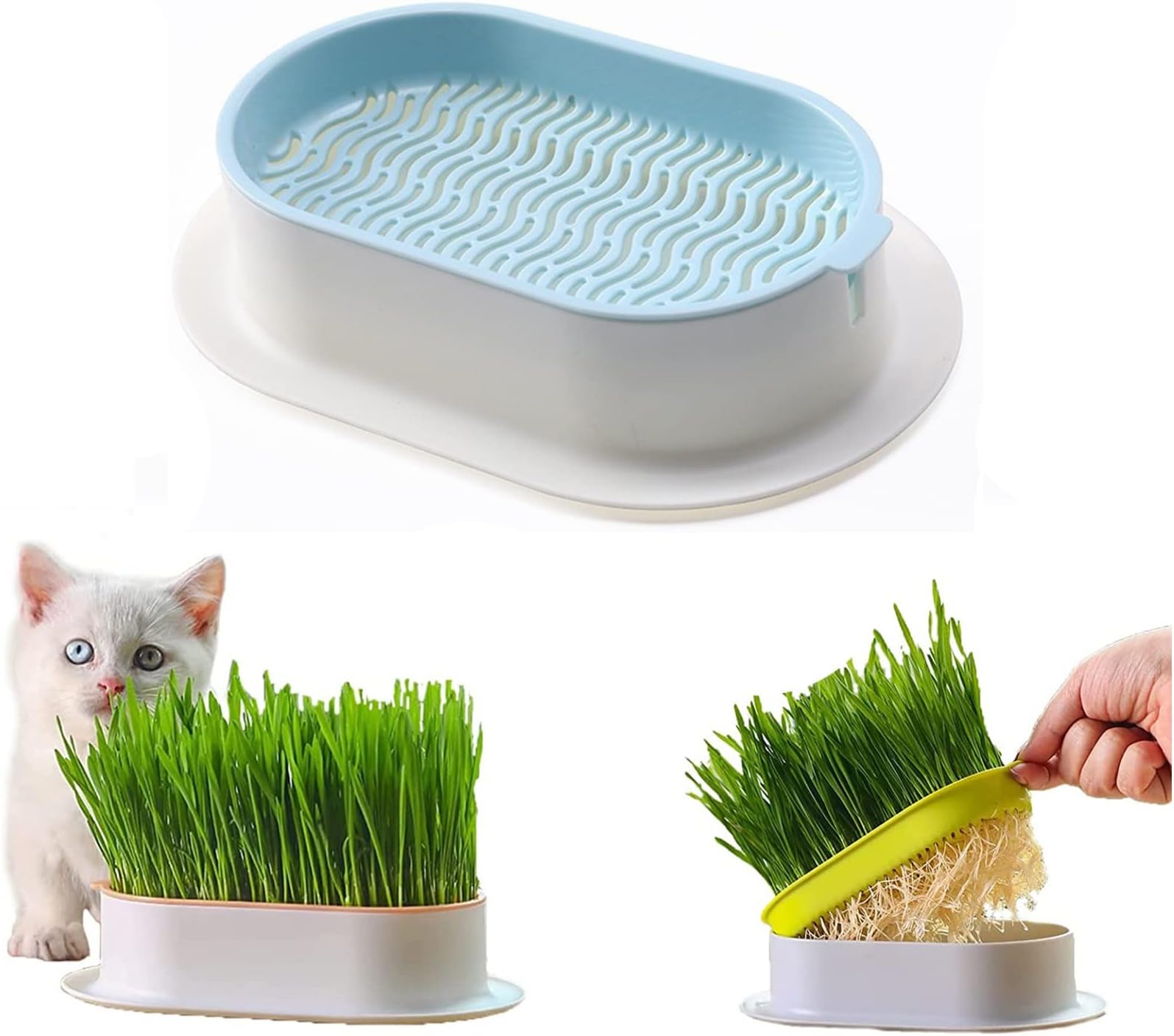 Cat Grass Planter,Hydroponic Cat Grass,Cat Grass Growing Kit,Self Watering Pots Window Box for Pets,Easy to Plant,Nursery Plants,Suitable for Indoor (Color : B)