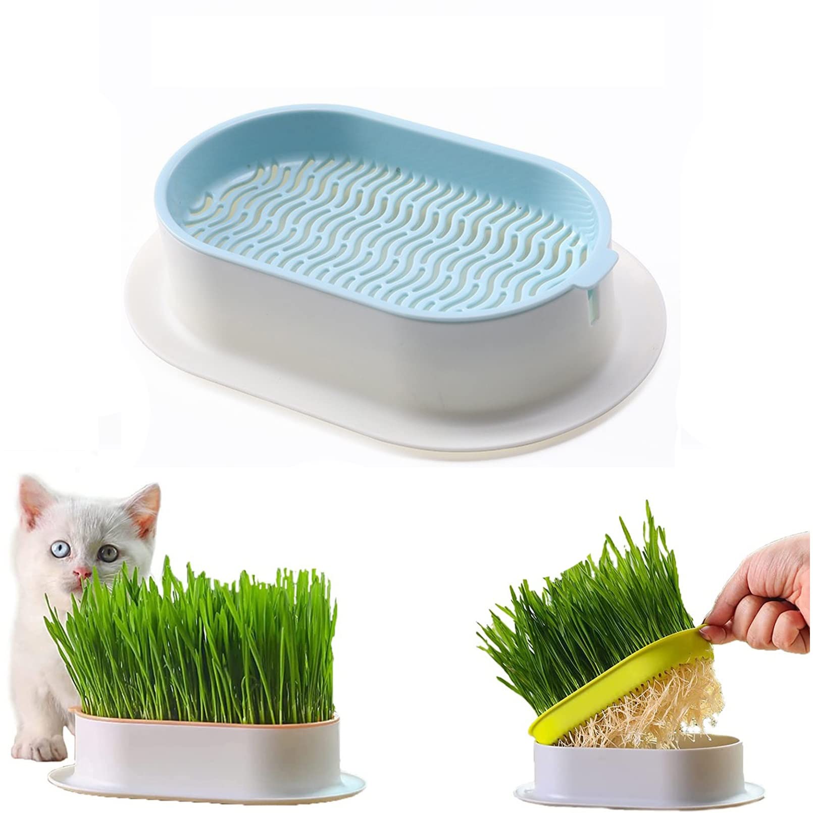 Cat Grass Planter,Hydroponic Cat Grass,Cat Grass Growing Kit,Self Watering Pots Window Box for Pets,Easy to Plant,Nursery Plants,Suitable for Indoor (Color : B)