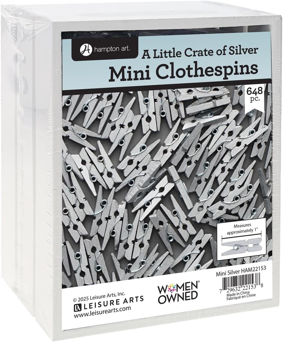 Hampton Art Little Crate of Mini Clothespins, Silver, 648pc