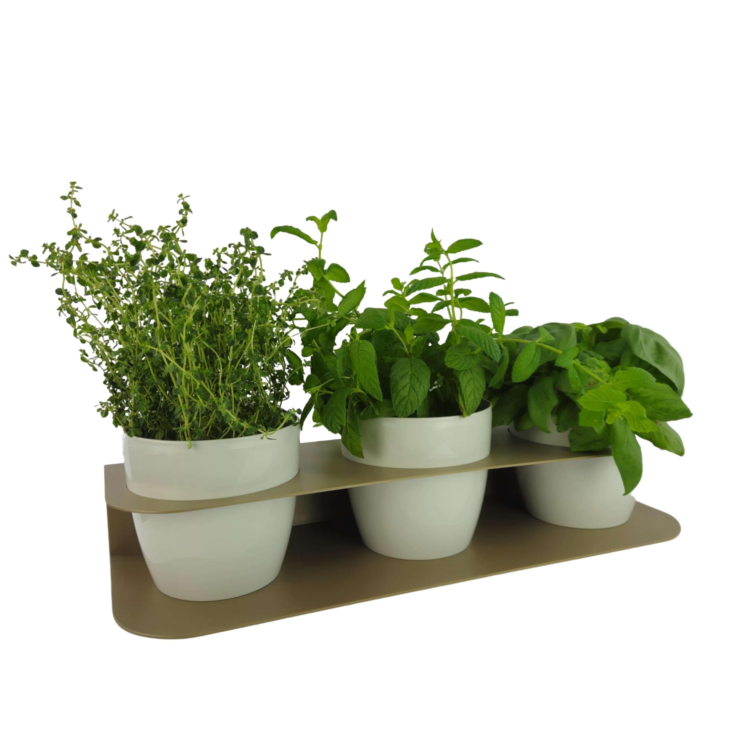 Tecnokit Porta Piante Aromatiche Metallo Design Moderno da Banco o Muro con 3 Vasi Tera Inclusi Ø16cm - Fioriera Interno Esterno Resistente UV 58x18x10cm (TORTORA/BIANCO)