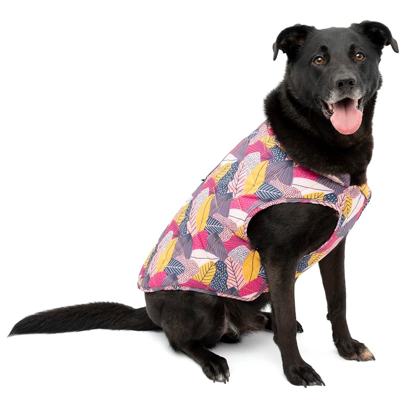 Casaco para Cães Kurgo Loft Jacket Fall Festival com Isolamento e Tecido Microtomic Ripstop, Extra Small