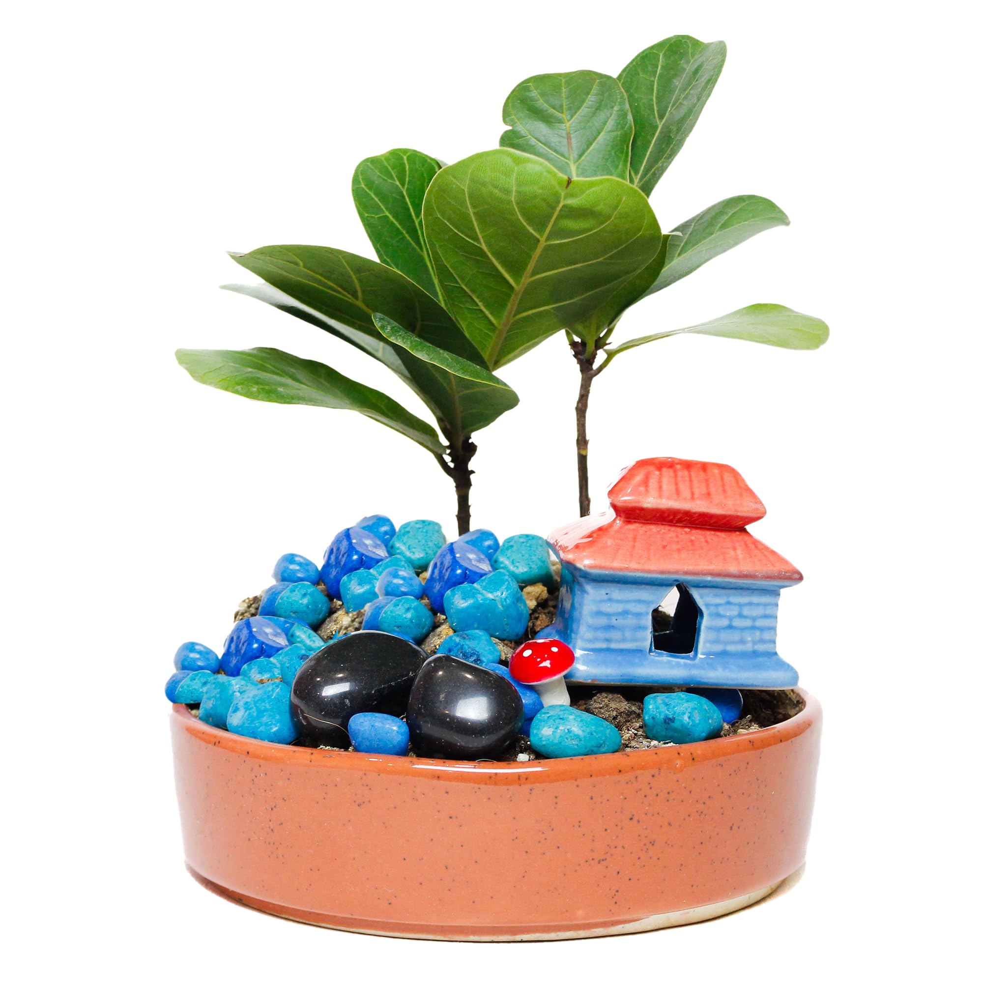 See full amazon price history chart for PLANTORI Smart Pot for Plants + Gift | Garden and Home Decoration| Pack of 2 Items (Ceramic) PLANTORI Smart Pot for Plants + Gift | Garden and Home Decoration| Pack of 2 Items (Ceramic) (B09Y8W4V22) Amazon Price History, Amazon Price Tracker