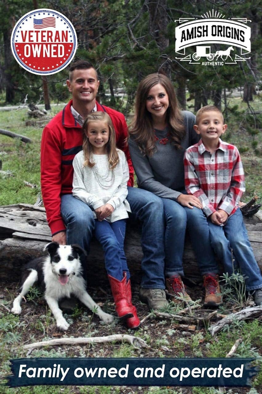 Drawing Salve Ointment, 2 oz, for Boil Treatment, Maximum Strength Fast Acting Draw Salve for Splinters, Bee Stings, Cyst, Anti Itch Cream, Poison Ivy oak Relief, MADE IN USA, By Amish Origins : Health & Household