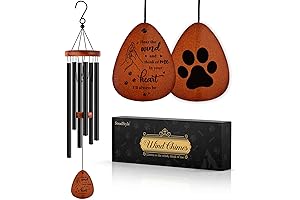 SteadStyle Loss of Cat Sympathy Gift: Solace in Memory's Melodies