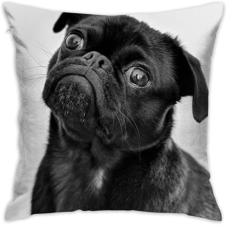 black pug pillow