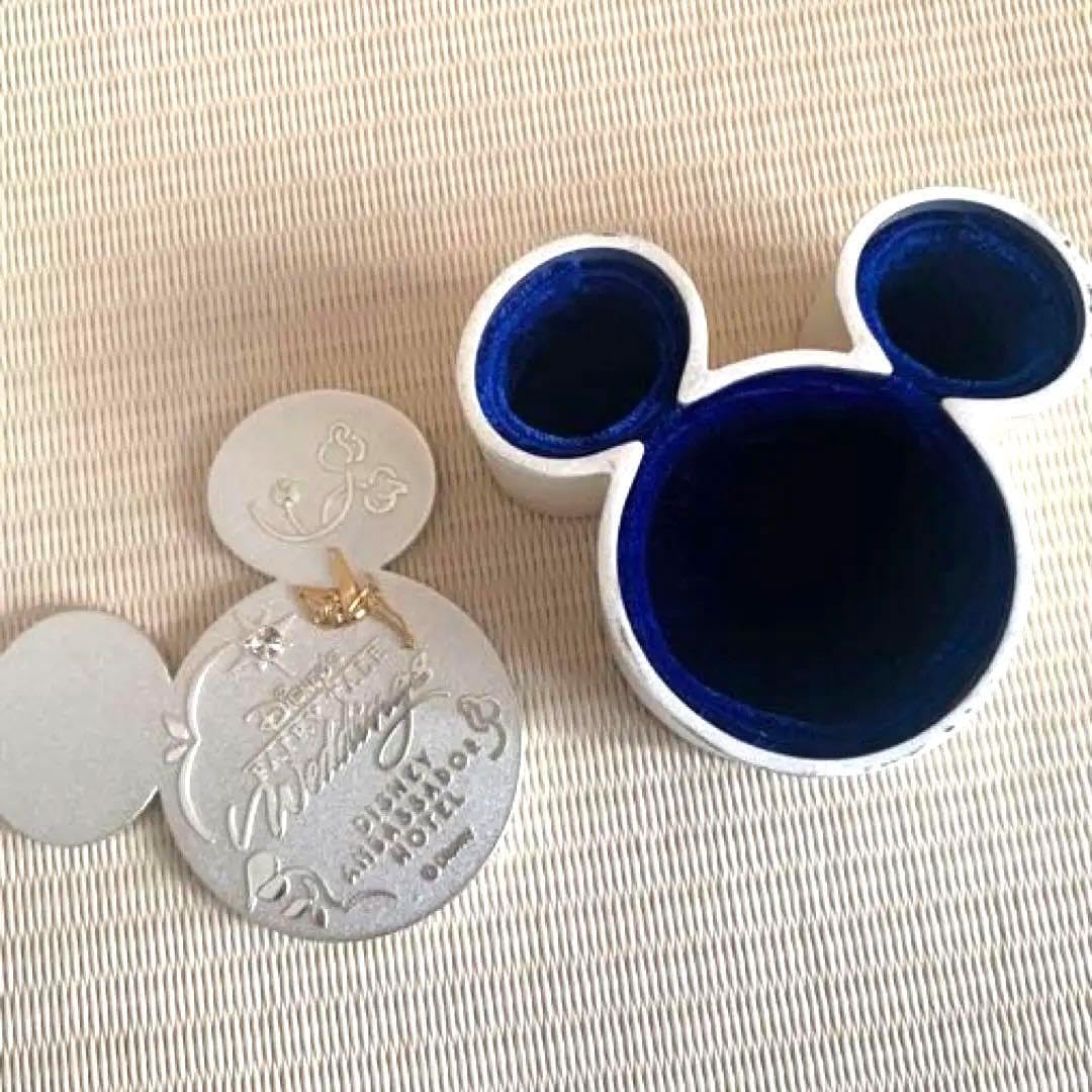 ビカクシダ セット OMG リドレイドワーフ マダガスカリエンセなど