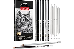 12 pc Premium Black and White Charcoal Drawing Pencils with Eraser Pencils and Blending Stumps