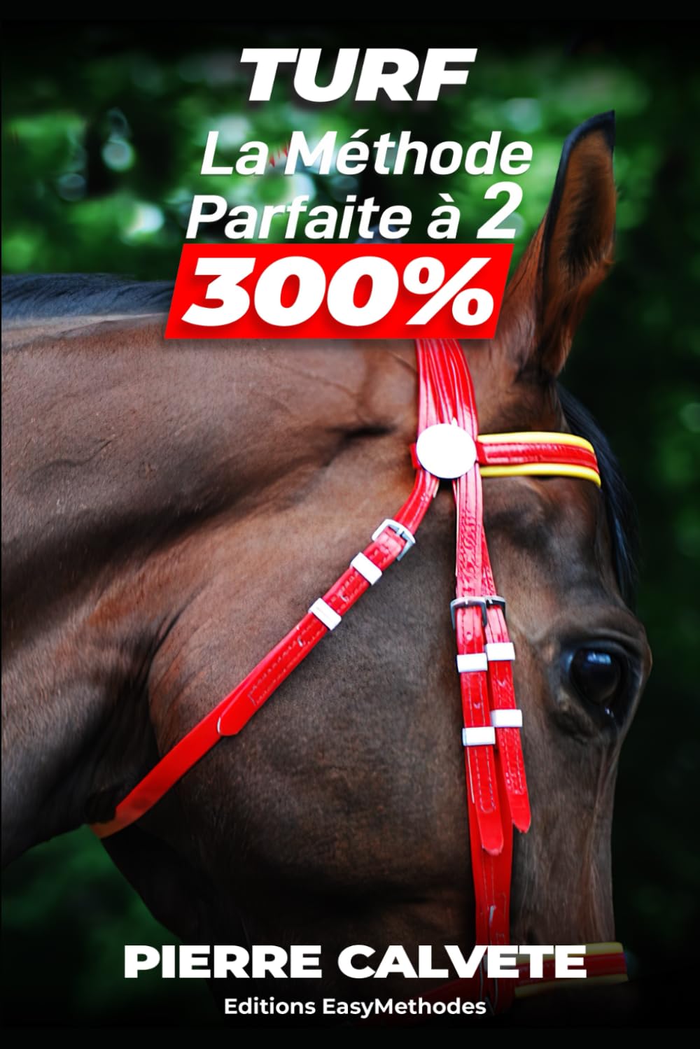 TURF La Méthode Parfaite à 2 300%
