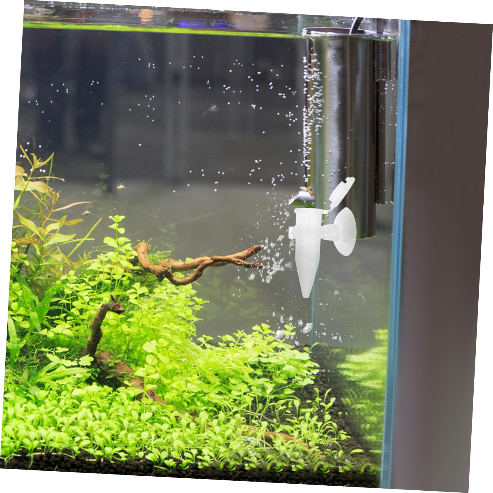 Beaupretty 5pièces Mini Couveuse à Crevettes avec Suction Cup Distributeur Automatique pour Aquarium Alimentateur Pratique pour Poissons Et Crevettes