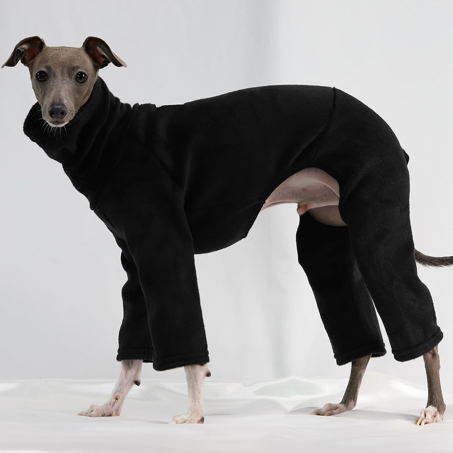 D DOGGY STAR Italian Greyhound Clothes Sweater Fleece