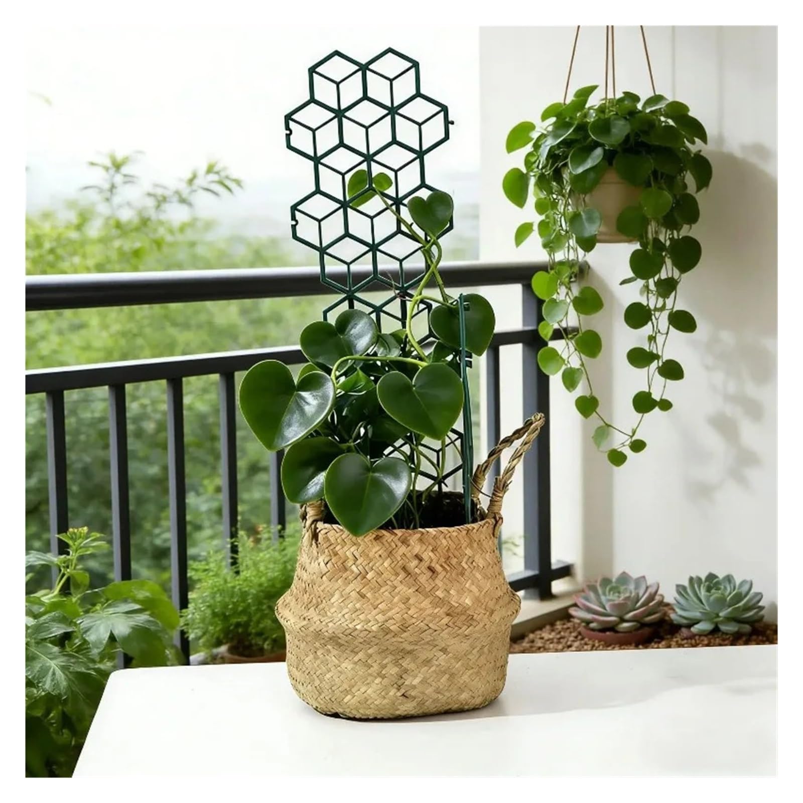 Tuteurs pour Plantes Support d'escalade en Treillis for Plantes