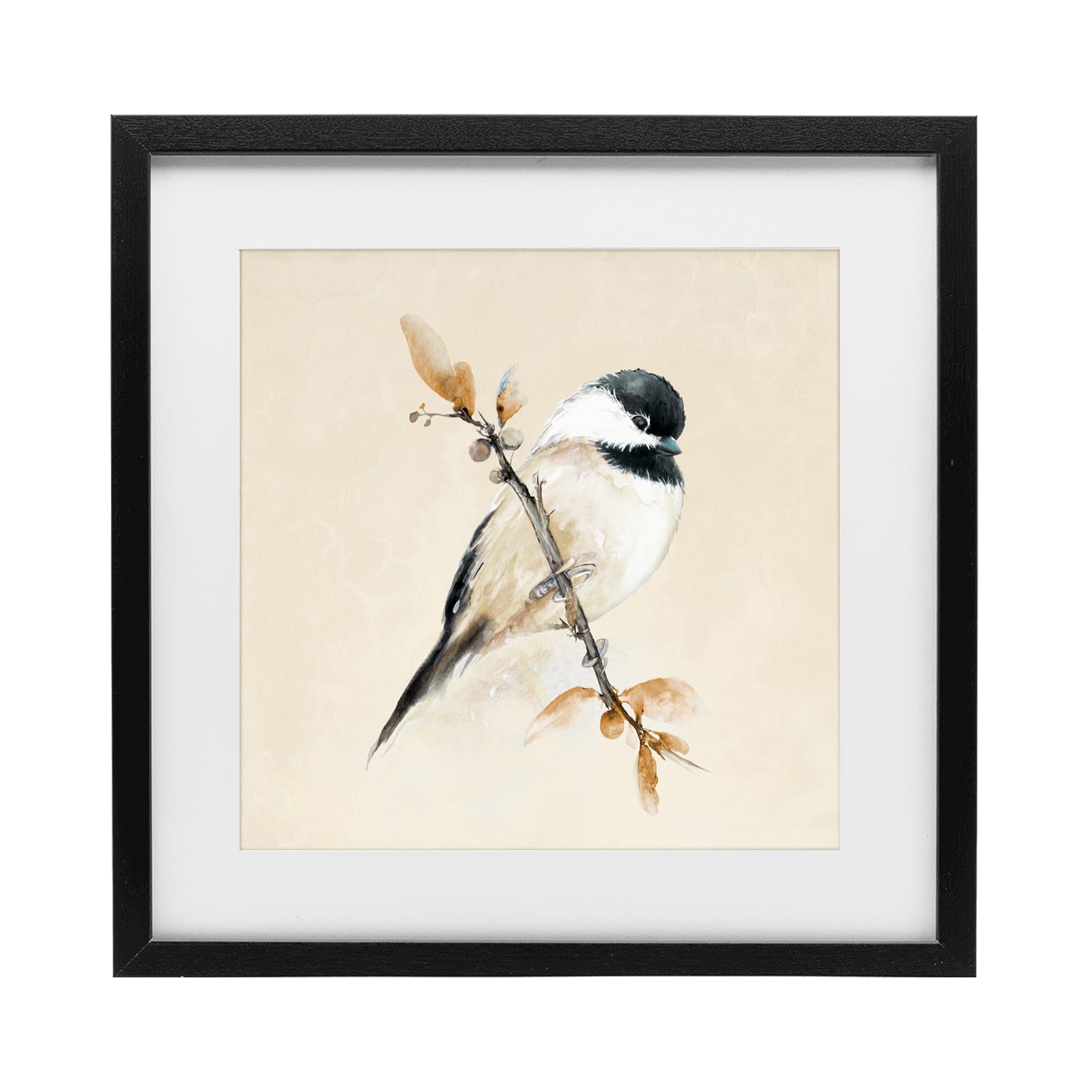 Stupell Industries 'Muted Watercolor Chickadee', Framed Print Under Glass, Black, 13 x 13 Inches, Easy to Hang and Sturdy, Made in USA, by Diannart