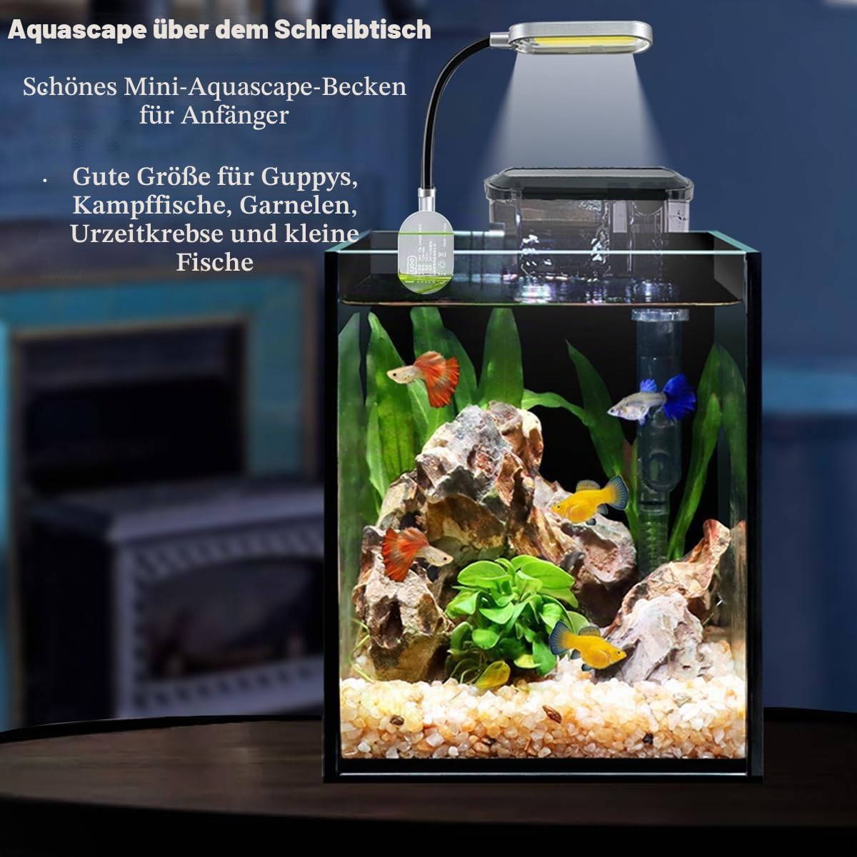 5.5L Aquarium-Starter-Kits, Nano-Glas-Aquarium mit Filter, LED-Licht für Aquascape DIY kleines Betta-Fischbecken