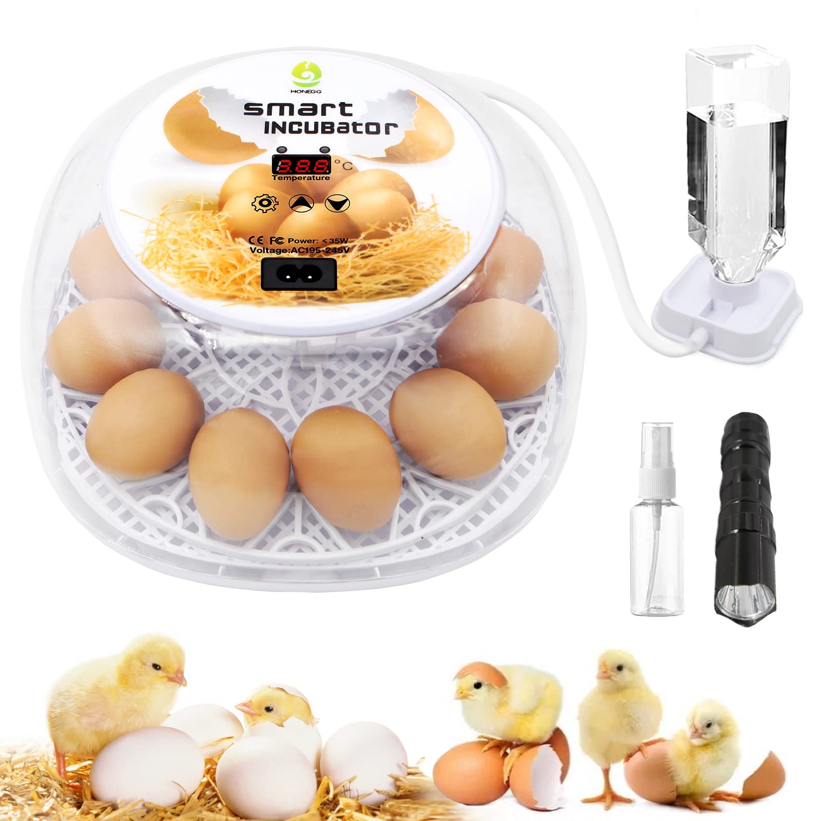 Buy Egg Incubator, 12 Eggs Incubator with Automatic Egg Turning, LED