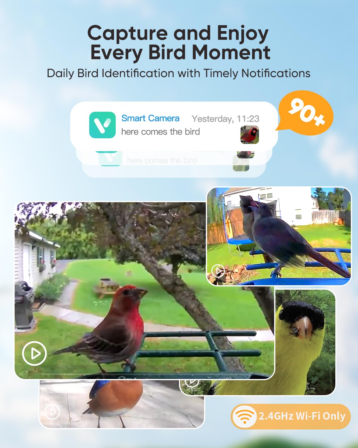 Comedero para pájaros con cámara, cámara alimentadora de colibríes alimentada por energía solar, captura automática inteligente de video y notificación de pájaros, regalo para los amantes de los