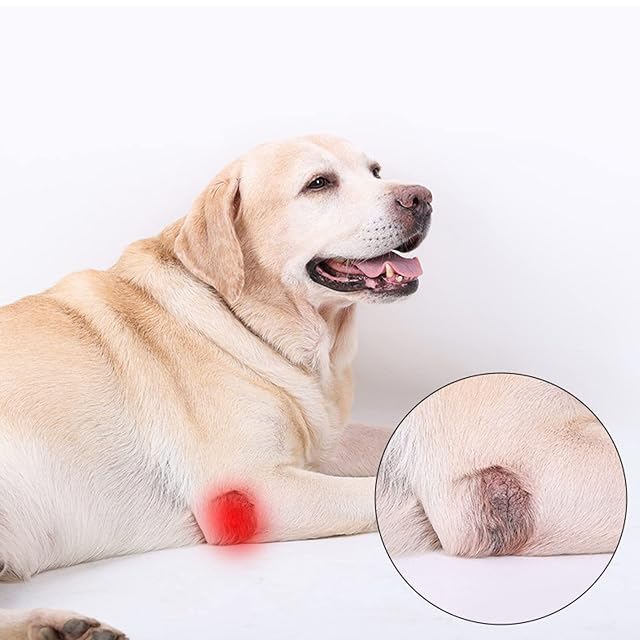Foto 7 de 7 de SH-RuiDu Manga de recuperación del perro