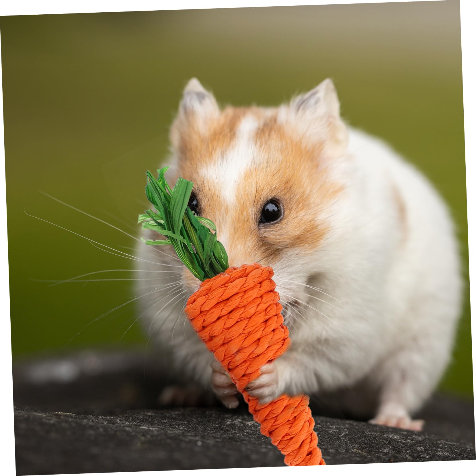 VANZACK 20pièces Jouets à Mâcher Loofah pour Petits Animaux Fournitures pour Hamster Et Lapin Jouets De Détente pour Rongeurs Carotte Maïs Radis