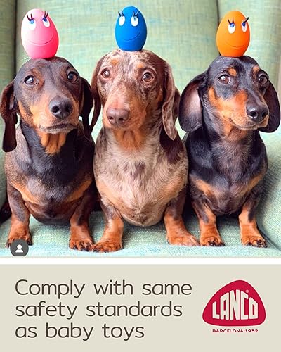 Miniatura 2 de Chihuahua - Pelotas chirriantes para perros  Extra pequeñas (2.5 pulgadas)  Cachorro de razas pequeñas  hinchables  Caucho natural  Cumple con los