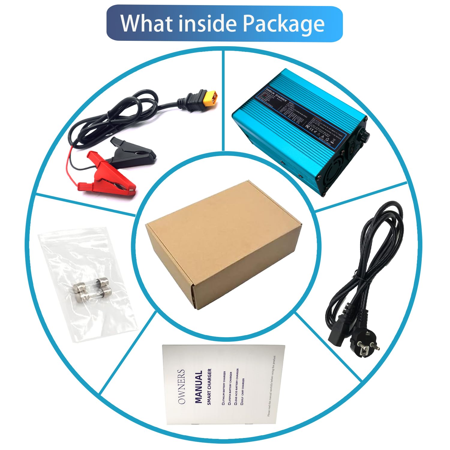 Caricabatterie Intelligente 14,6V 10A, Carica Batterie per Auto, Moto e Altro