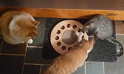 Review Image by ErinKuss ErinKuss