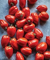 Vista 12 de Burpee "San Marzano" Heirloom, Tomate para pasta, 75 semillas no transgénicas