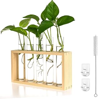 Plant Propagation Station,Ycoolle 5 Glass Test Tube Vase with Wooden Holder Wall Hanging Glass Plant Propagation Perfect for Home /Office/Garden Decor (White)