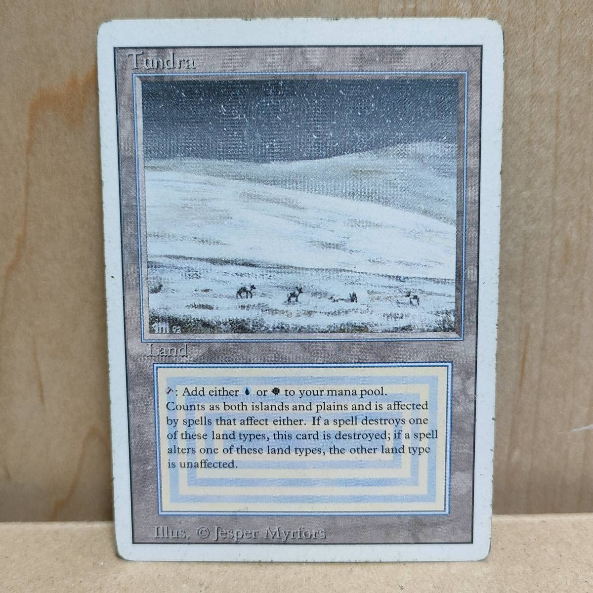 Amazon.co.jp: MTG EN《Tundra》[3ED] 土地R 全ての商品能 : おもちゃ