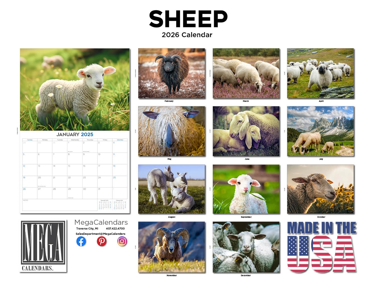 Calendario 2024 2025 con pecore, calendario mensile da parete con animali della fattoria, 30,5 x 45,7 cm, aperto, carta spessa senza sbavature, idea regalo, calendario per insegnanti accademici,