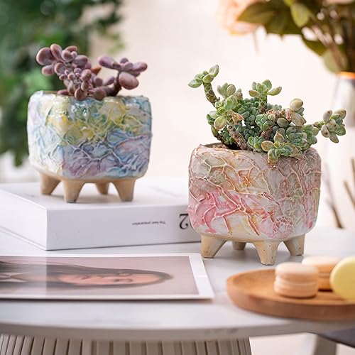 Miniatura 3 de Daveinmic Macetas para suculentas de 4 pulgadas con drenaje, macetas pintadas a mano para plantas suculentas, macetas de porcelana como regalo para