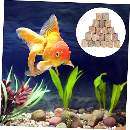 Miniatura 9 de Soporte para plantas de acuario, 20 unidades, anillo fijo de cerámica, para fijación de plantas de agua, color aleatorio