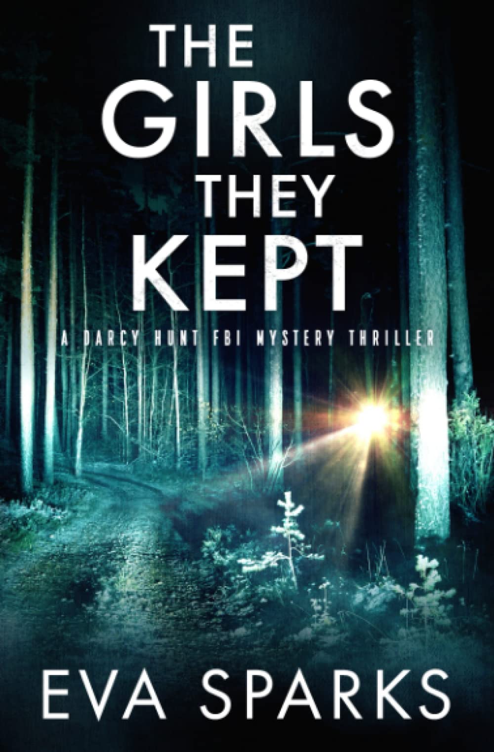 The Girls They Kept (Darcy Hunt FBI Mystery Suspense Thriller)