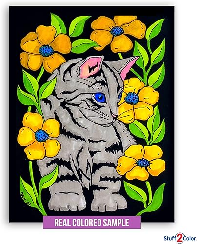 Miniatura 5 de Paquete estupendo de 18 carteles borrosos del terciopelo 8 x 10 pulgadas (edición artística)