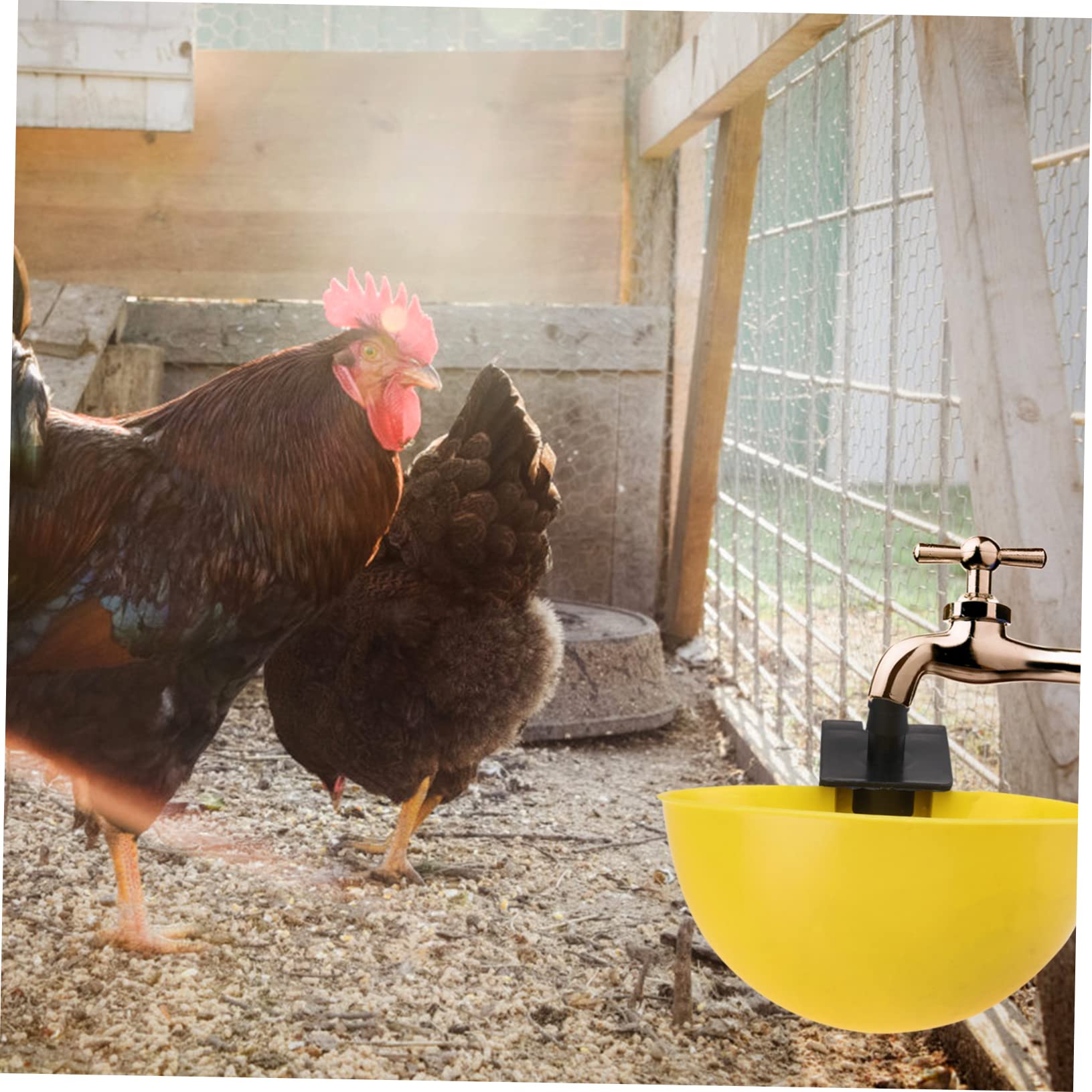 Garneck Feeder Chicken Feeding Container Bird Waterer Automatic Water Dispenser Material