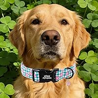 Vista 107 de Unique Style Paws - Collar rosa con hebilla de metal, duradero y lindo para perros pequeños a grandes