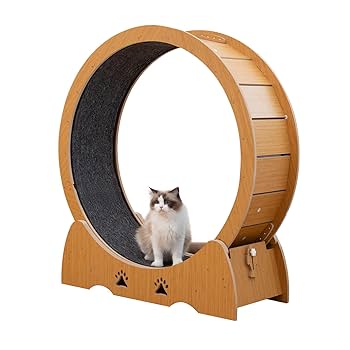 木製キャットホイール キャットウォーク 直径100cm 楽天市場】【9/30まで～先着15%OFFクーポン！！】＼楽天1位・3冠