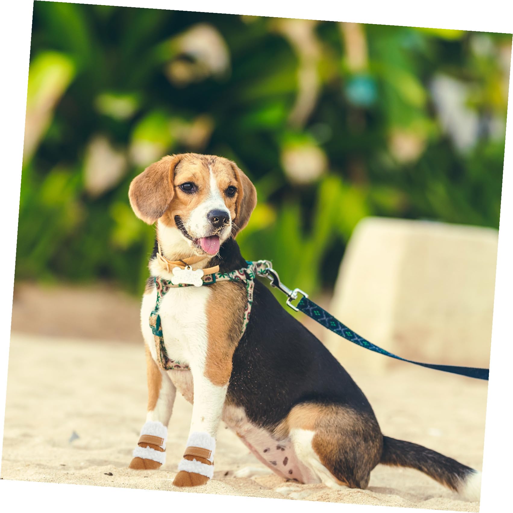 BESPORTBLE 6paare Hundeschuhe Antirutsch Teiliges Für Hunde Und Welpen Warme Outdoor-Schuhe Mit Rutschfester Sohle Für Winterliche Aktivitäten Und Pfotenpflege Schnee Und EIS